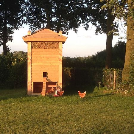 Bed En Boterham Hoeve Boord Ven Acomodação com café da manhã Eersel Exterior foto